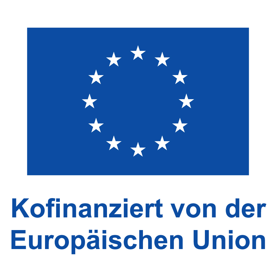 DE_V_Kofinanziert_von_der_Europaeischen_Union_Web_blau.jpeg