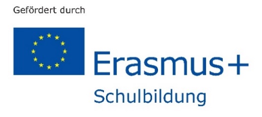 Erasmus.jpg